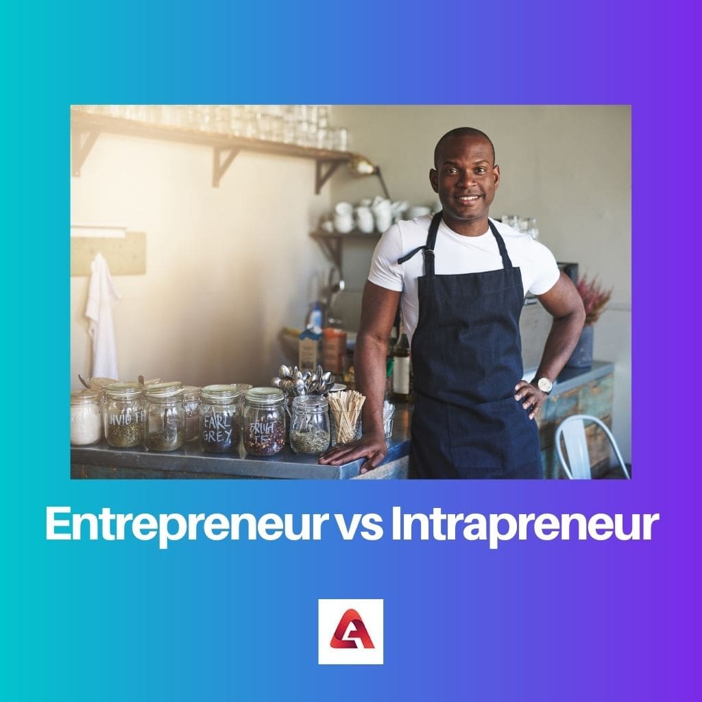 Entrepreneur vs Intrapreneur