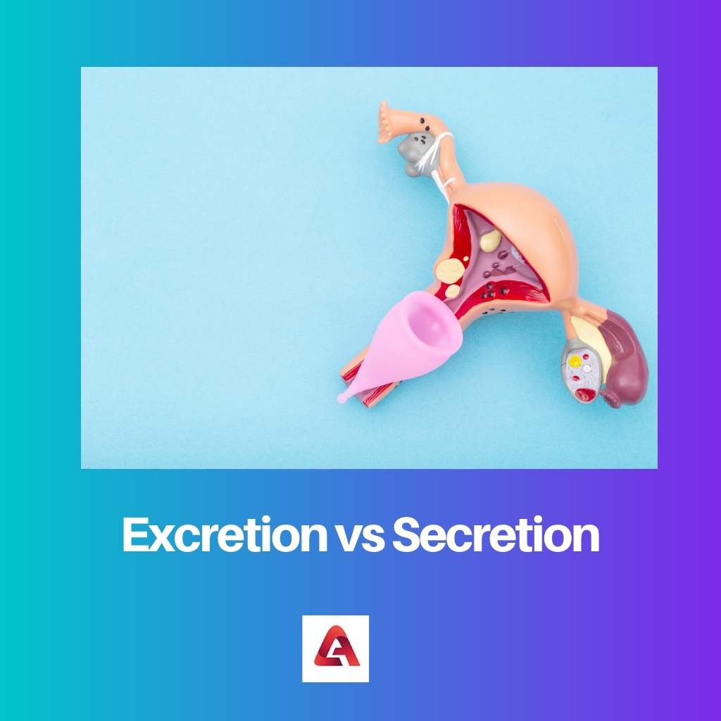 Excretion vs Secretion