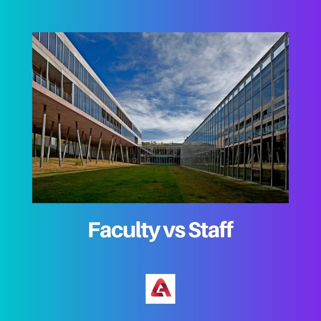 Faculty vs Staff