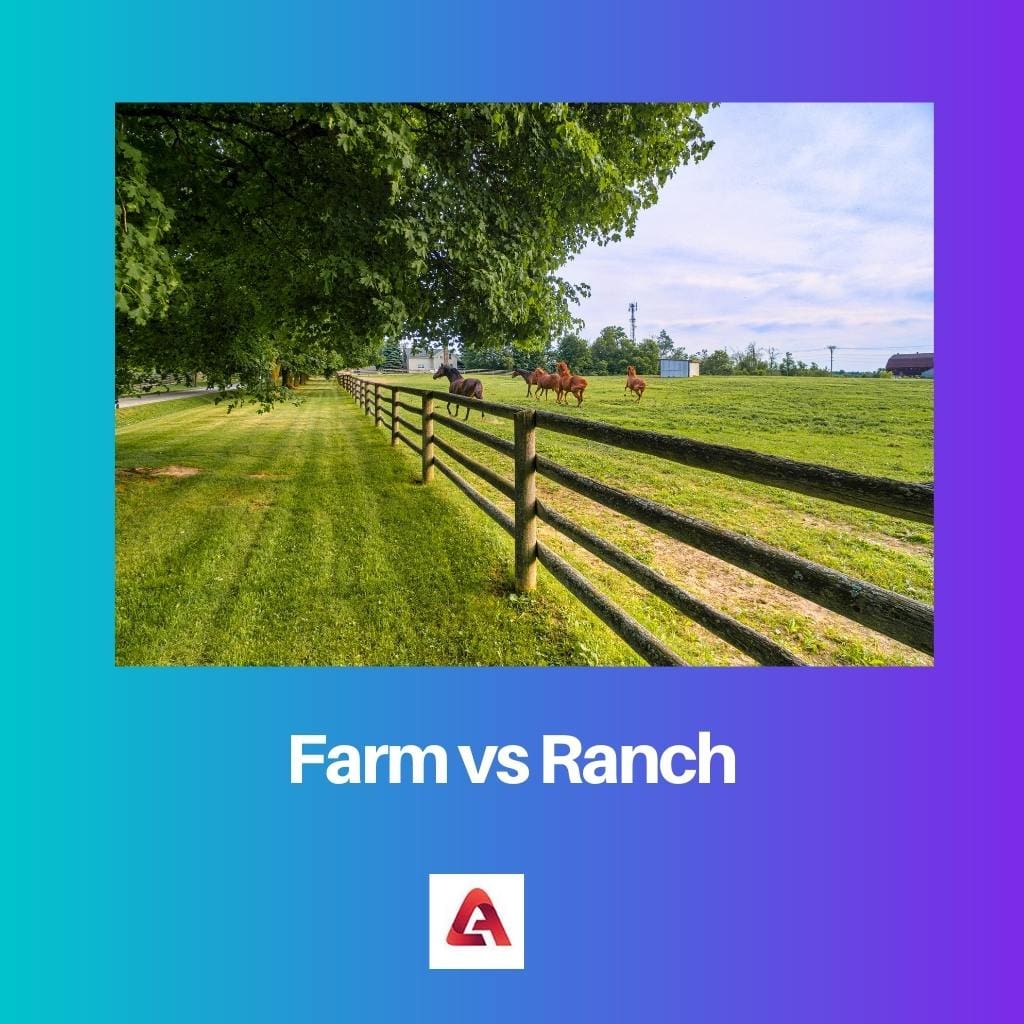 Farm vs Ranch 1