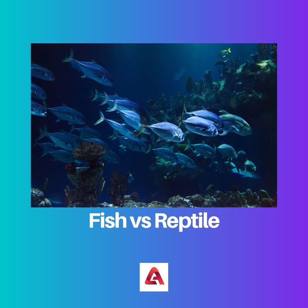 Fish vs Reptile