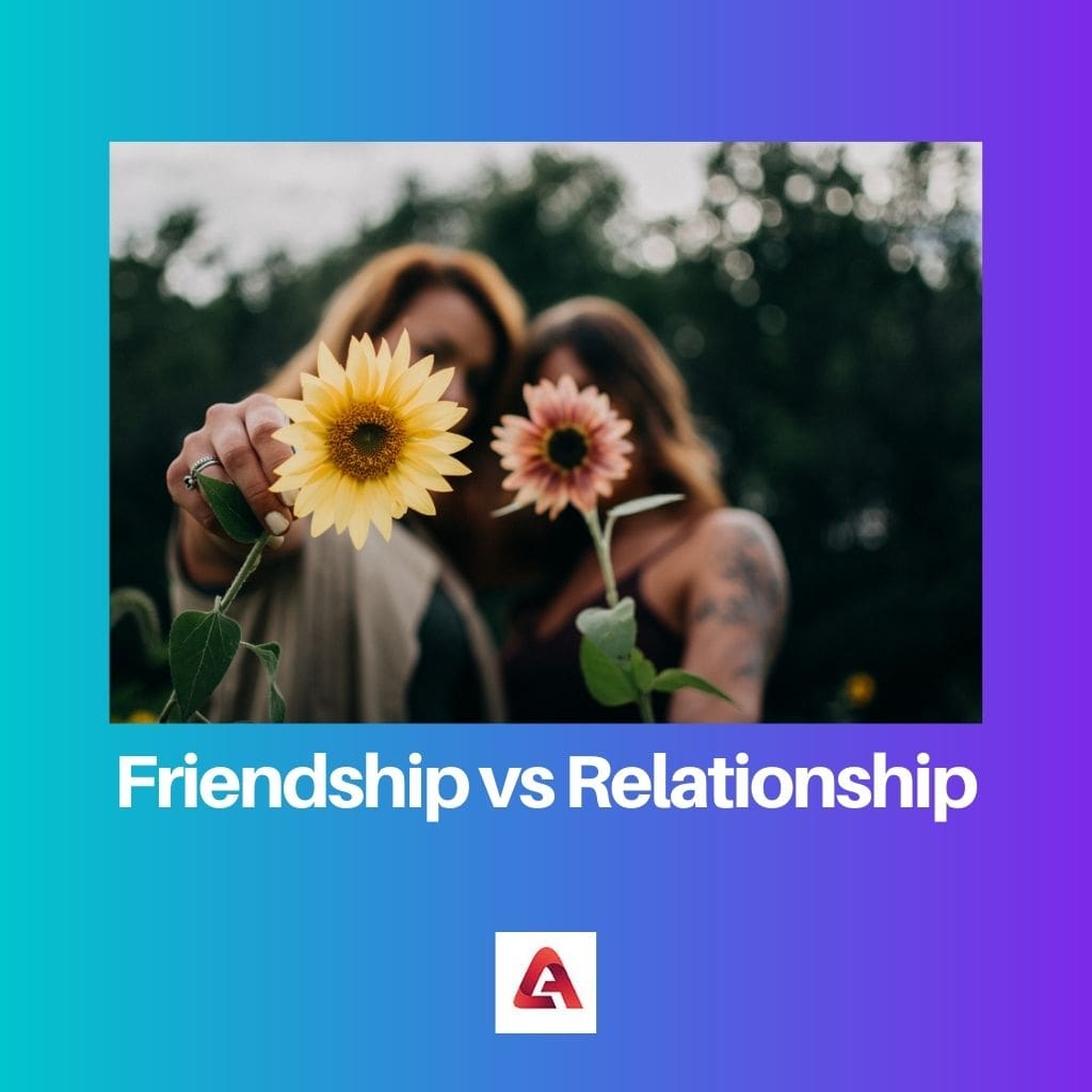 Friendship vs Relationship