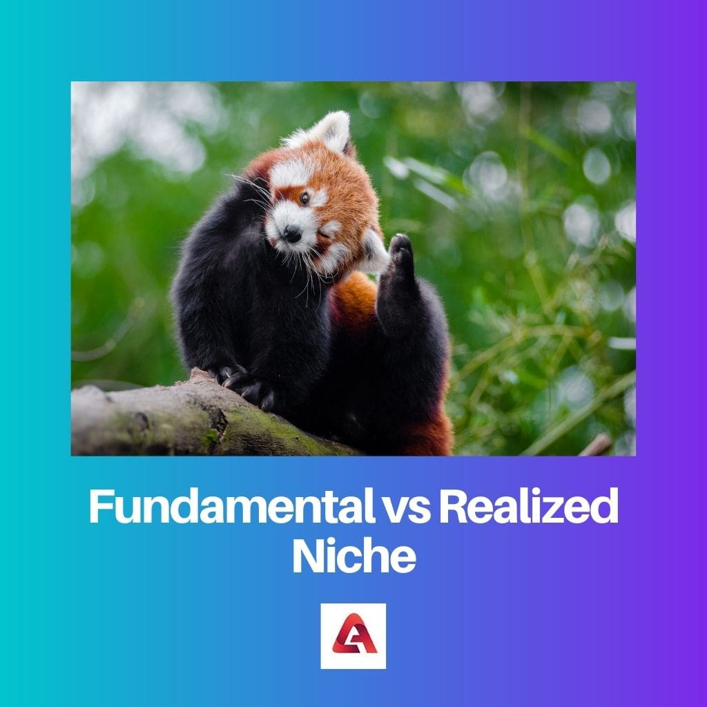 Fundamental vs Realized niche