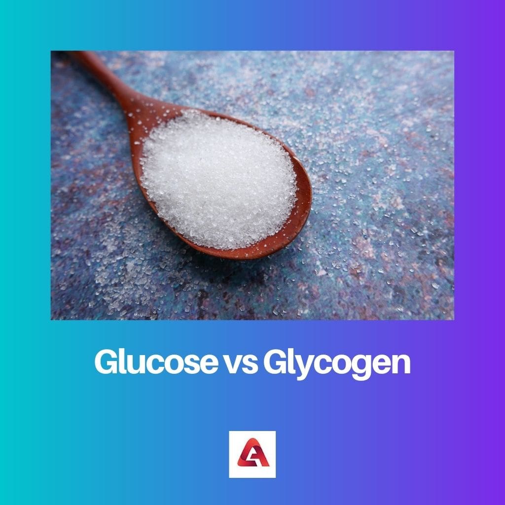 Glucose vs Glycogen