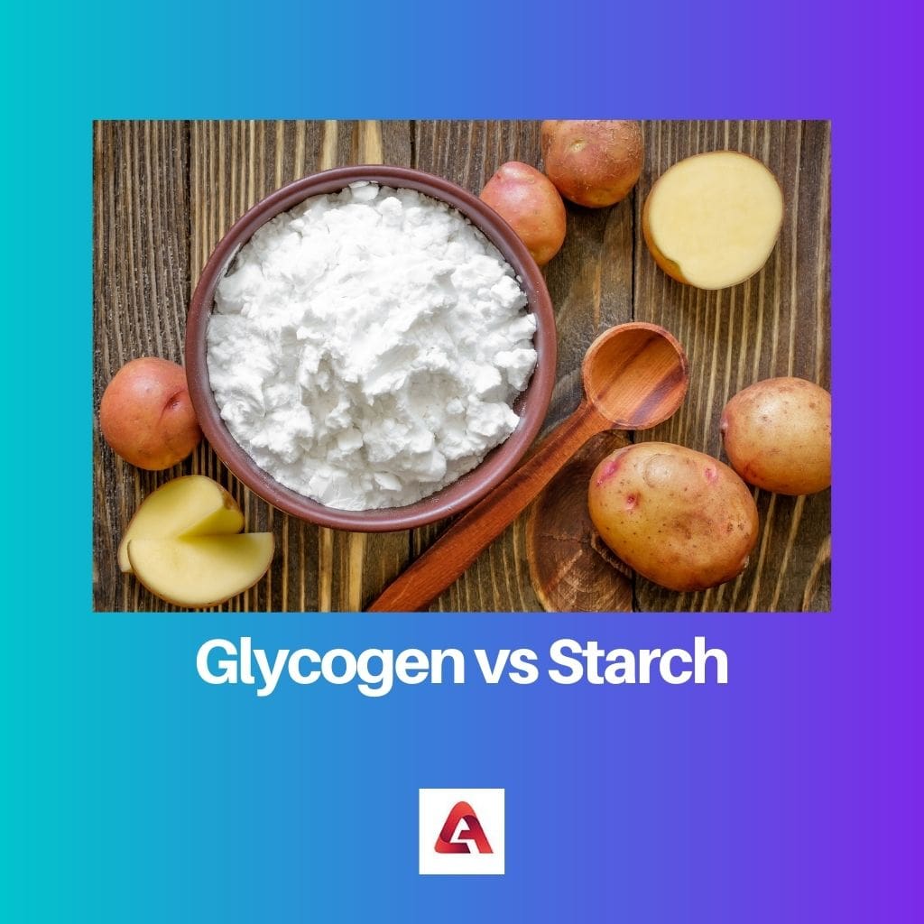 Glycogen vs Starch 1