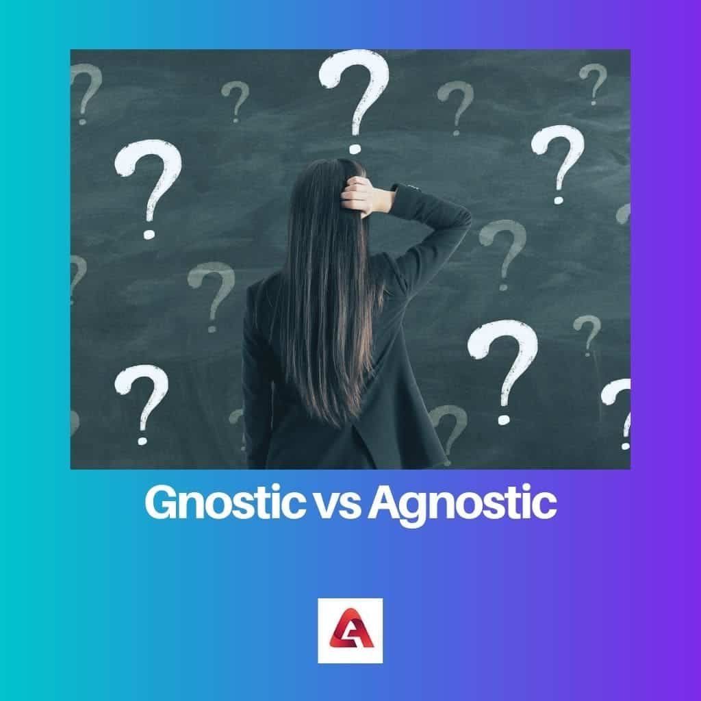 Gnostic Vs Agnostic: Difference And Comparison