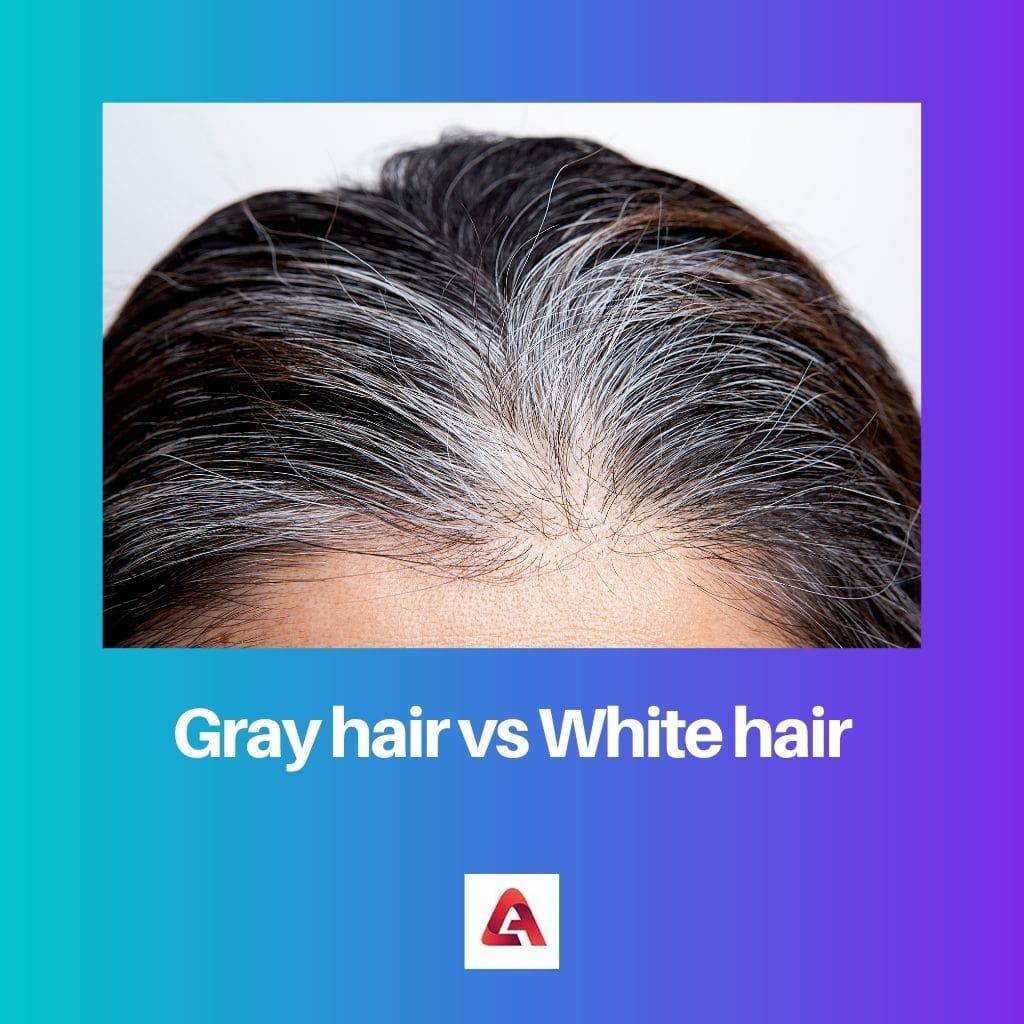 Difference Between Gray Hair and White Hair