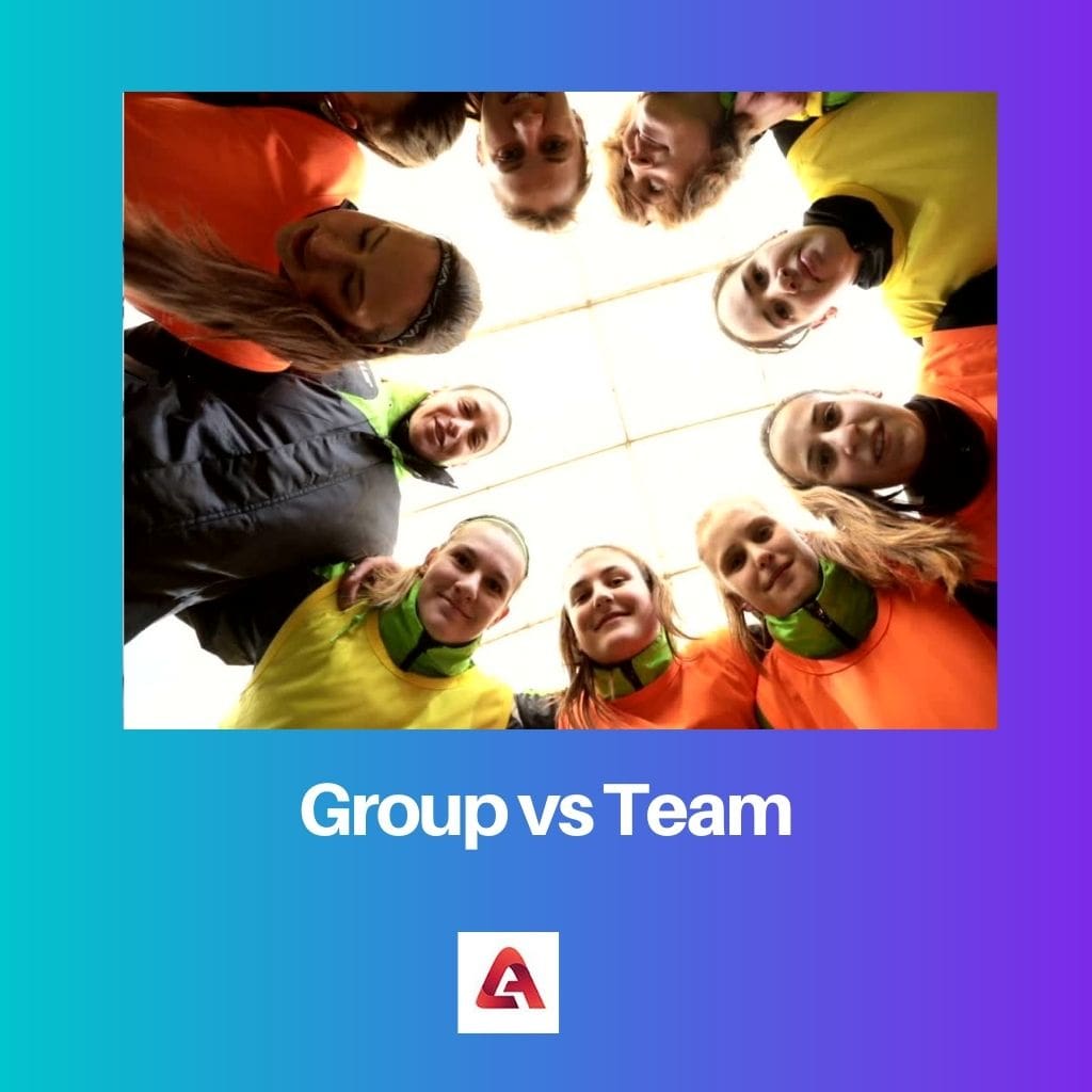 Group vs Team