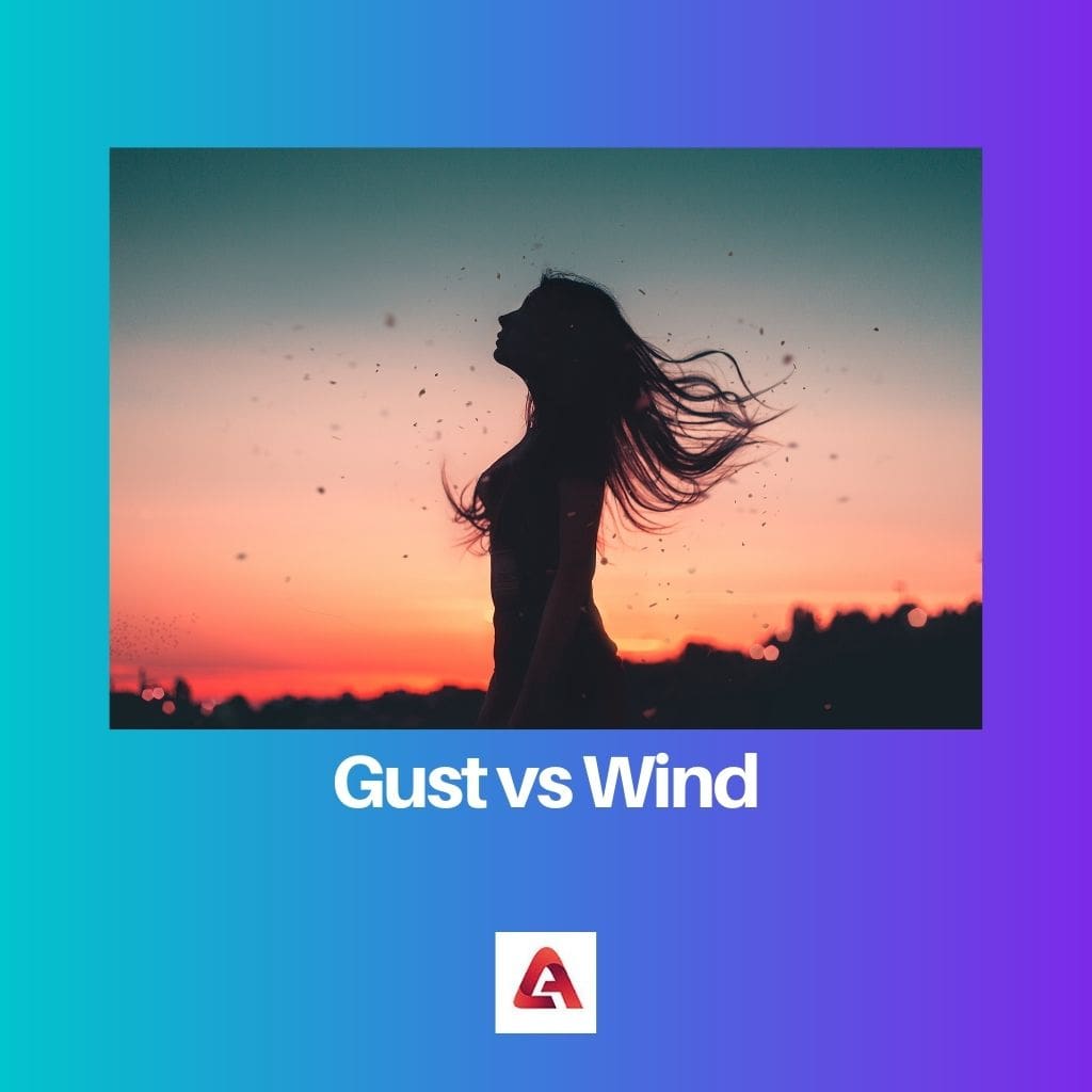 Gust vs Wind