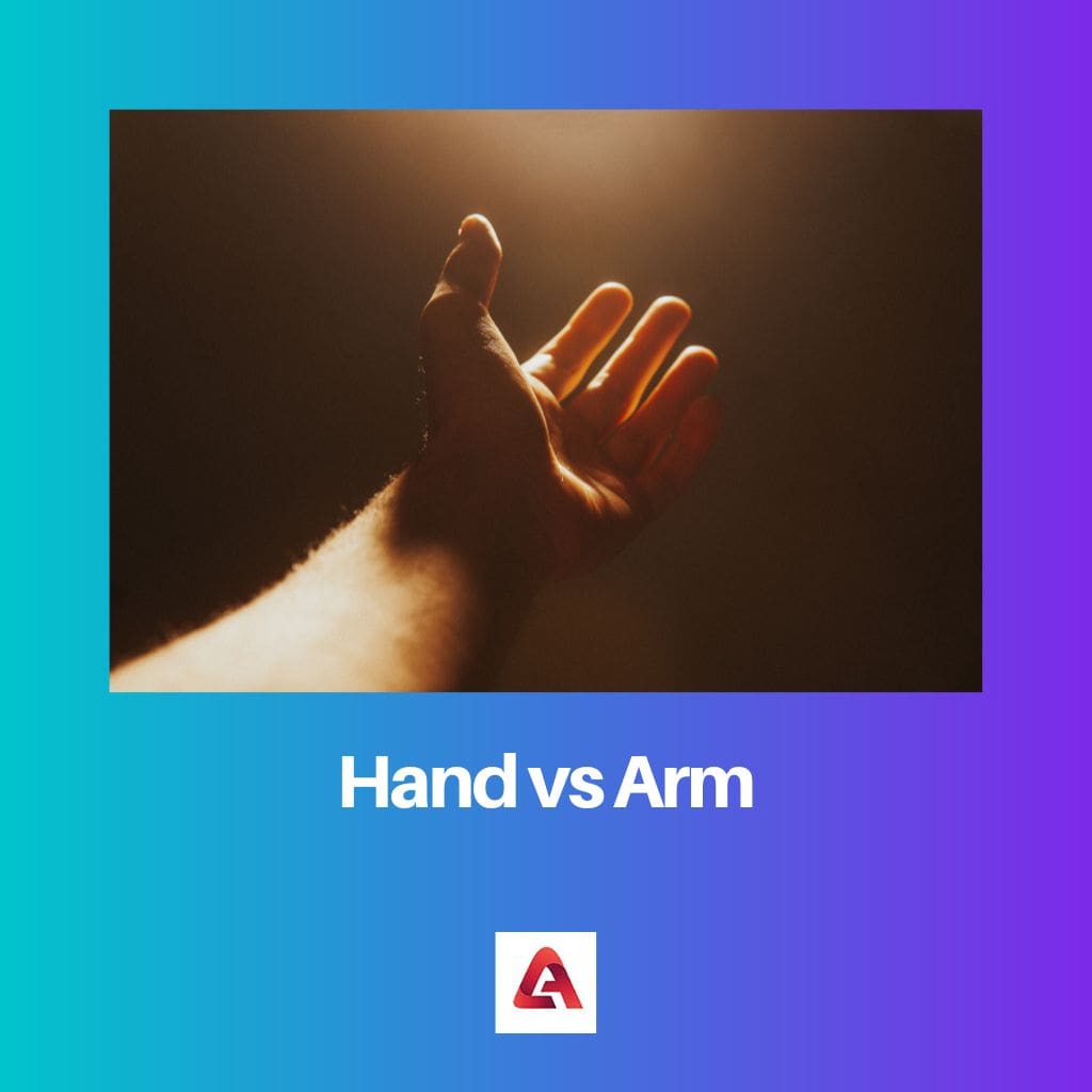 Hand vs Arm