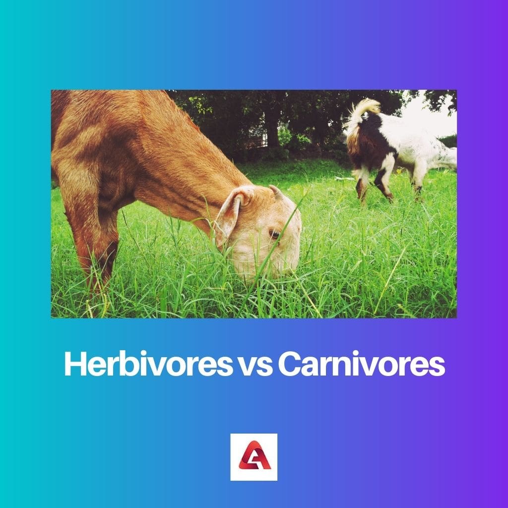 Herbivores vs Carnivores