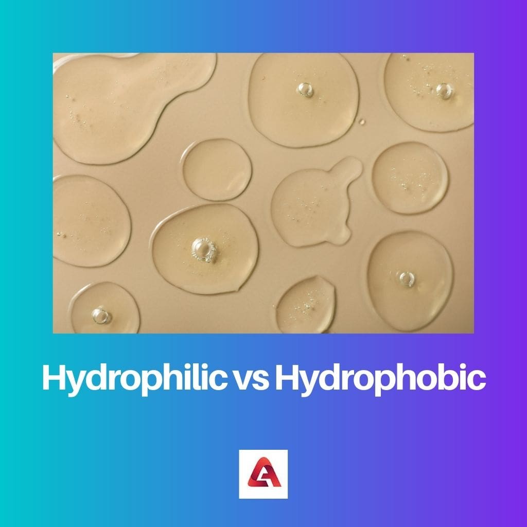 Hydrophilic vs Hydrophobic
