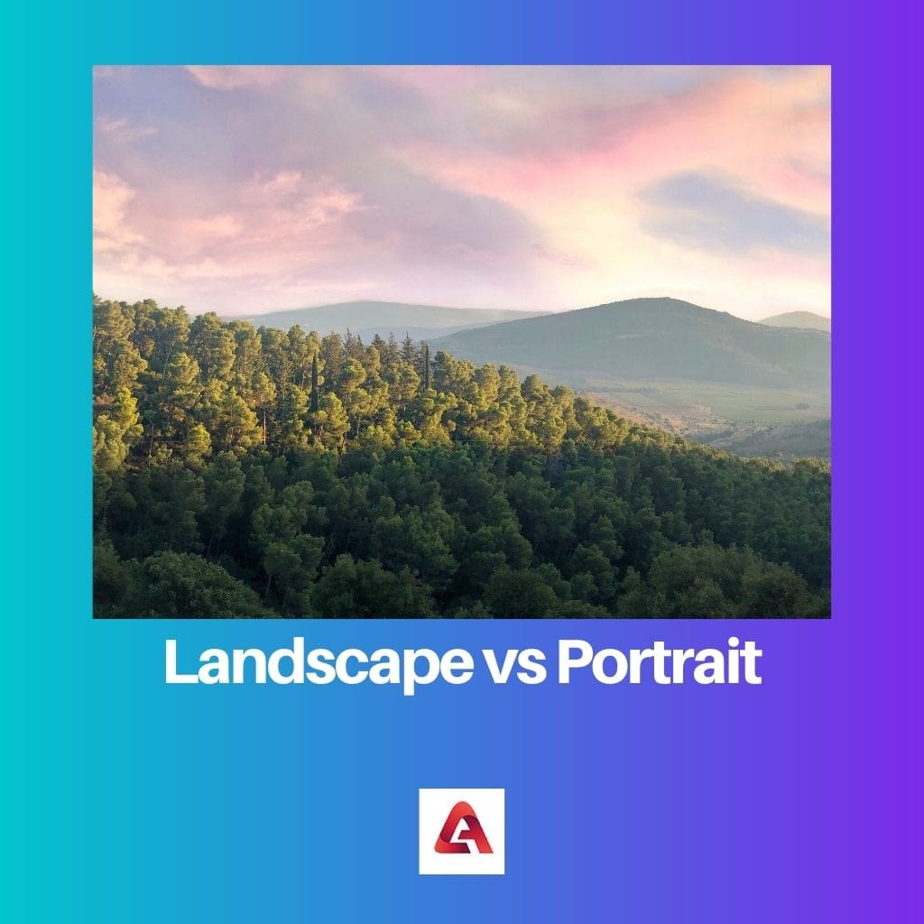 Landscape vs Portrait