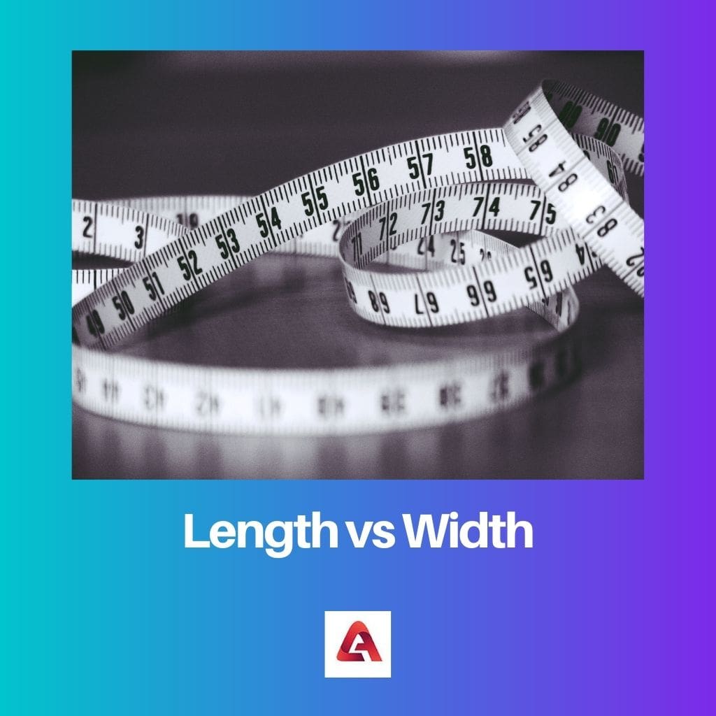 Length vs Width
