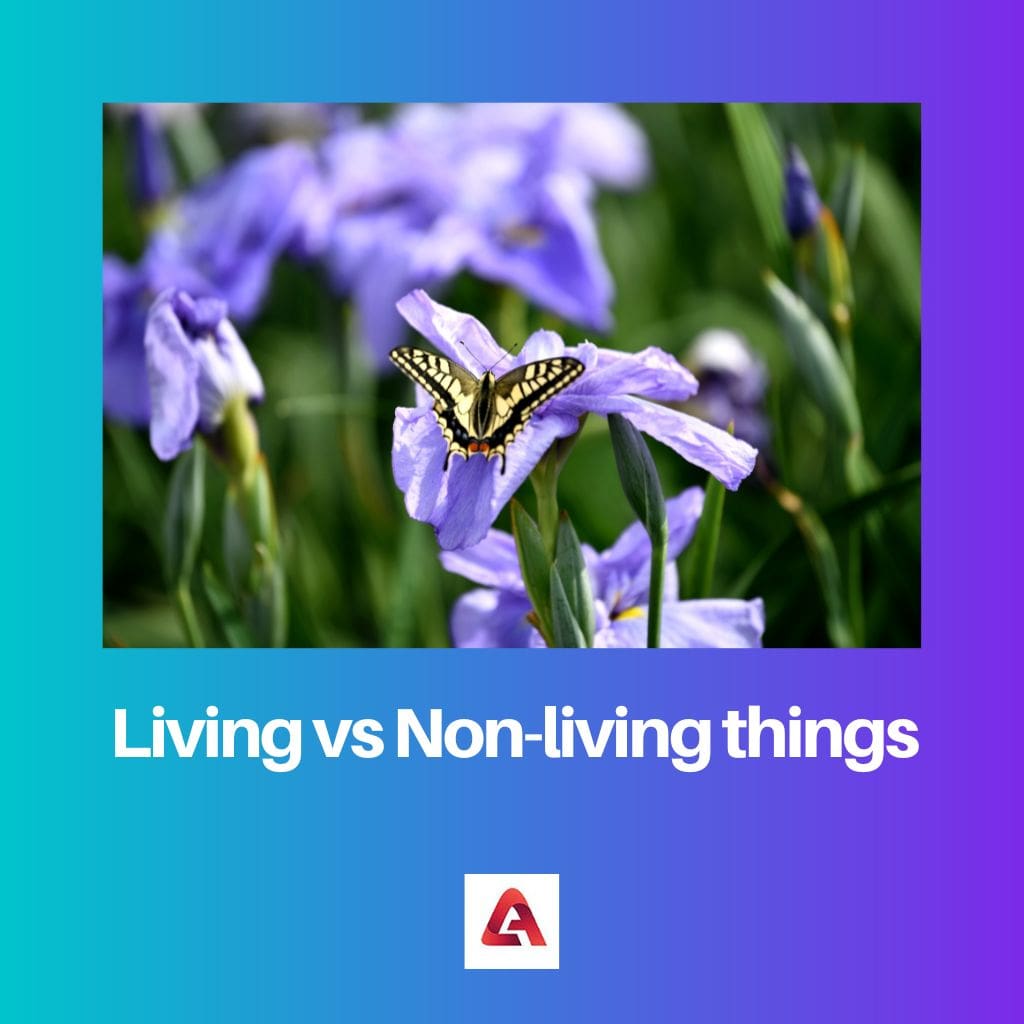 Living vs Non living things