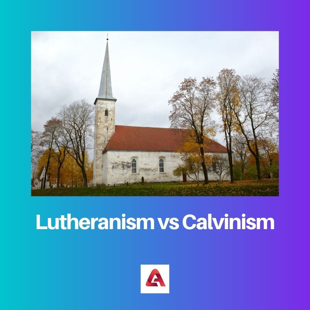 Lutheranism vs Calvinism