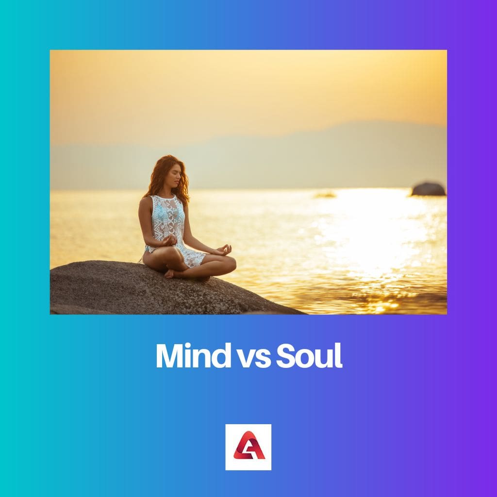 Mind vs Soul
