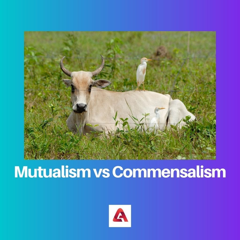 Mutualism vs Commensalism