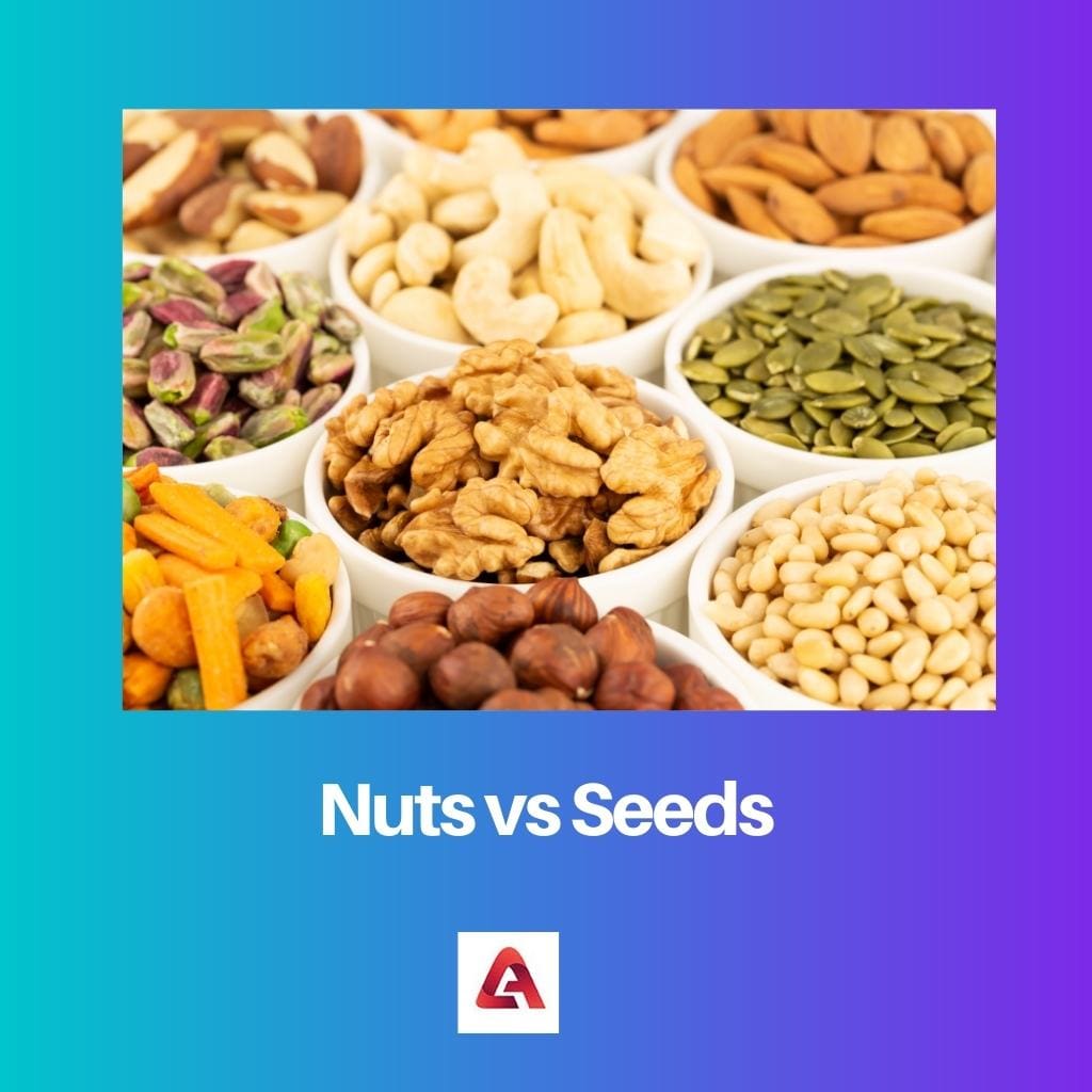 Nuts vs Seeds
