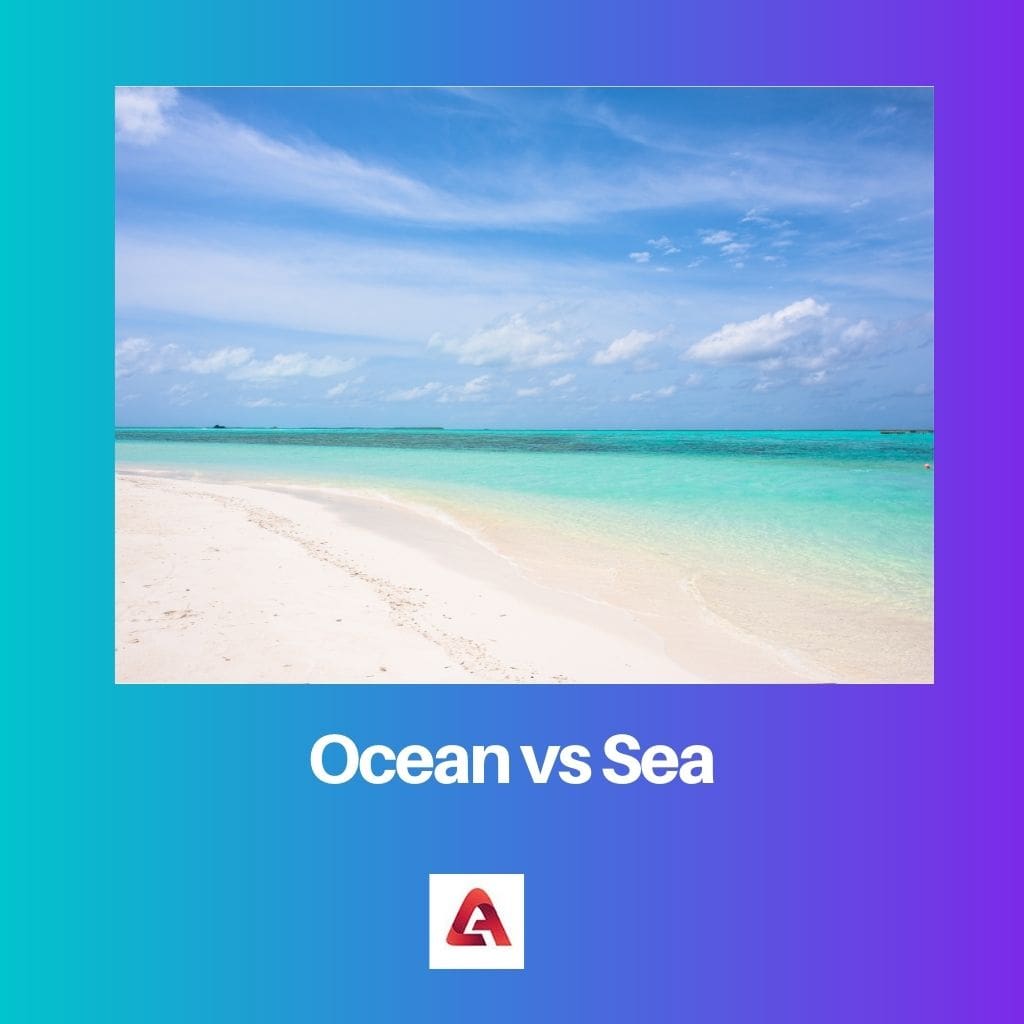 Ocean vs Sea