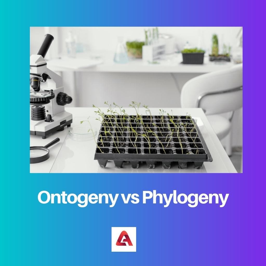 Ontogeny vs Phylogeny