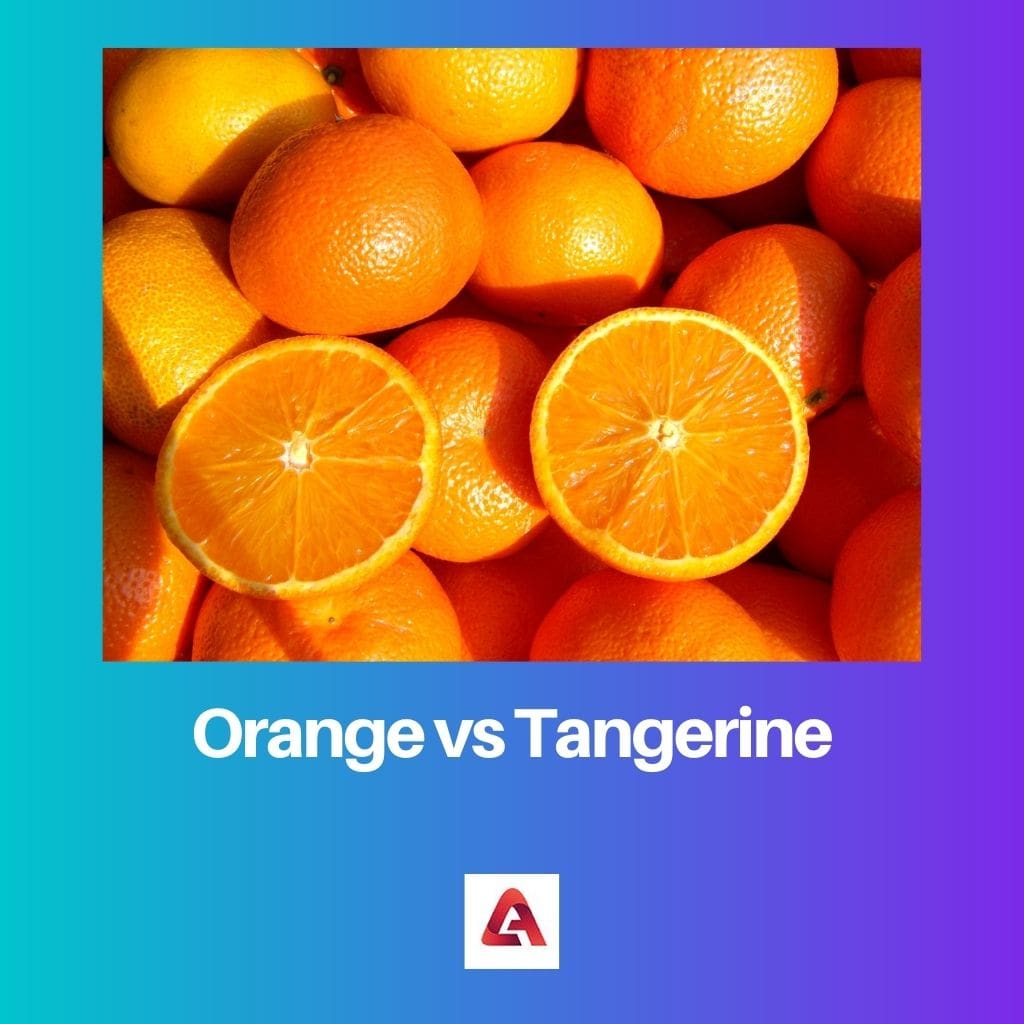 Orange vs Tangerine