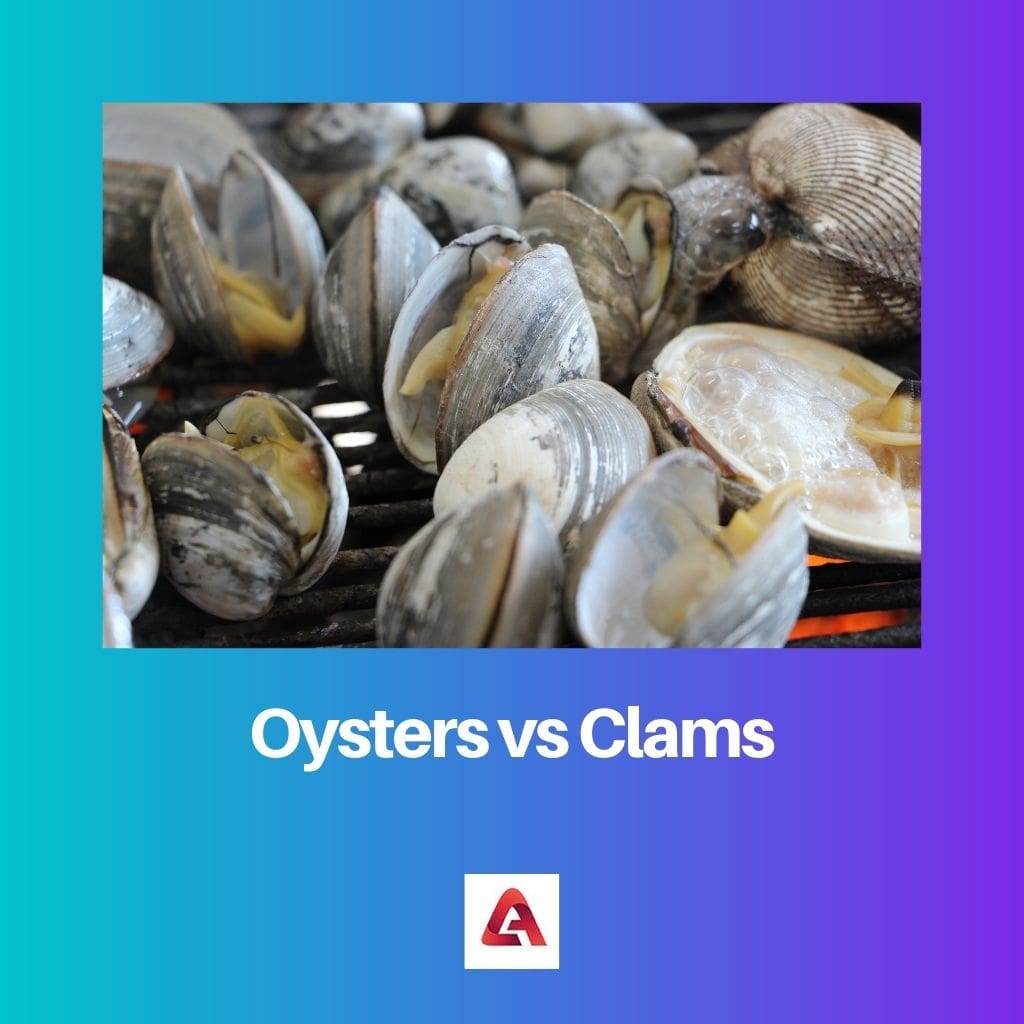 Oysters vs Clams