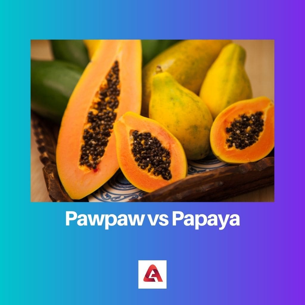Pawpaw vs Papaya