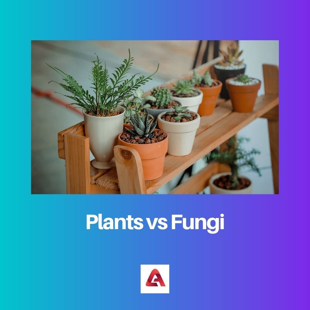 Plants vs Fungi