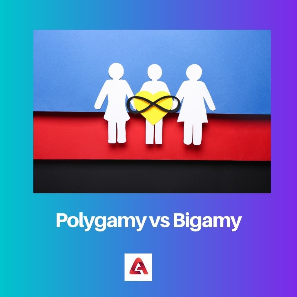Polygamy vs Bigamy