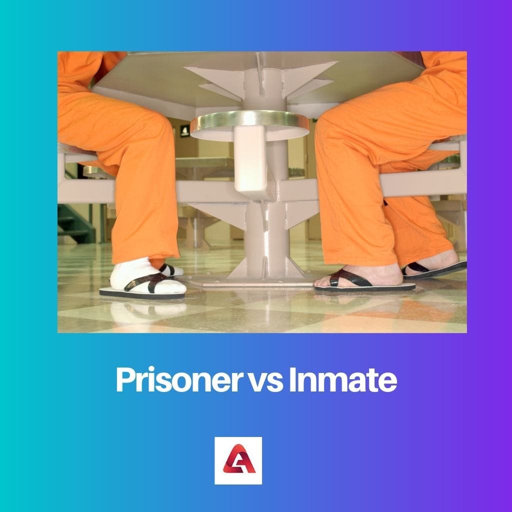 Prisoner vs Inmate