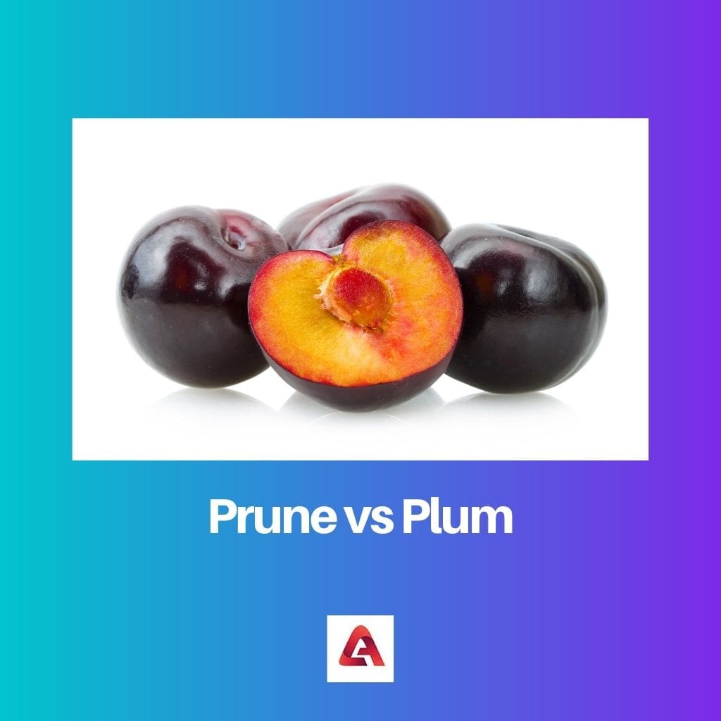 Prune vs Plum