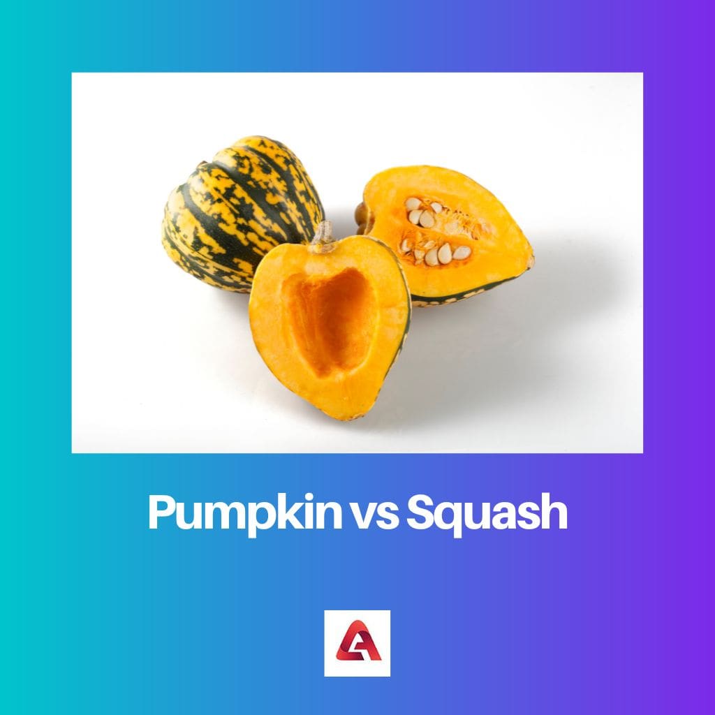 Pumpkin vs Squash
