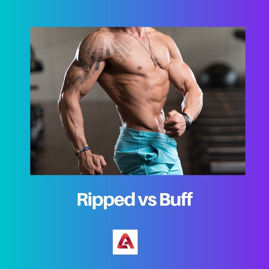 Ripped vs Buff