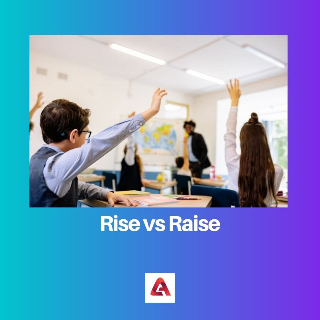Rise vs Raise