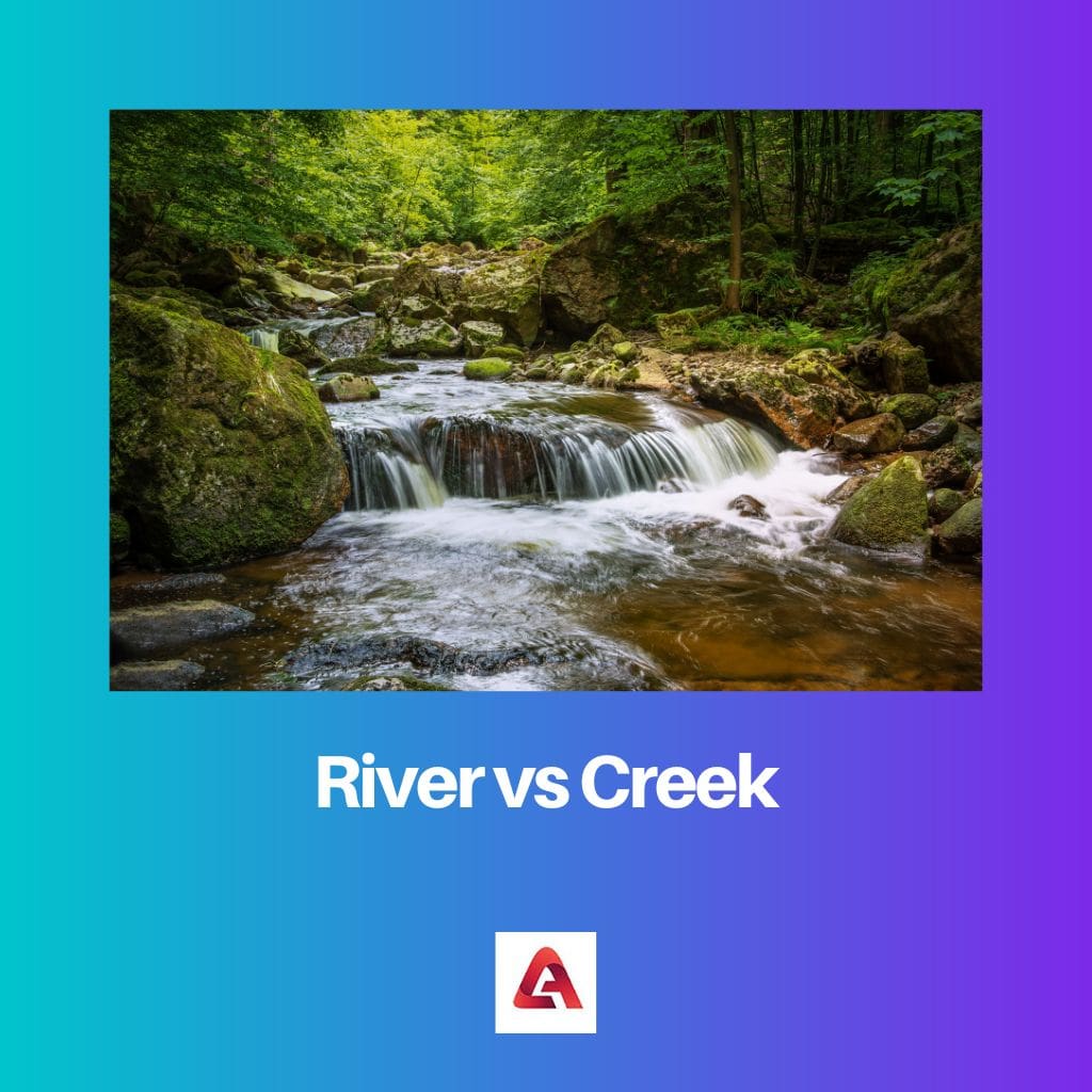 River vs Creek