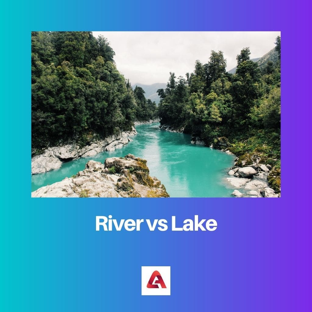 River vs Lake