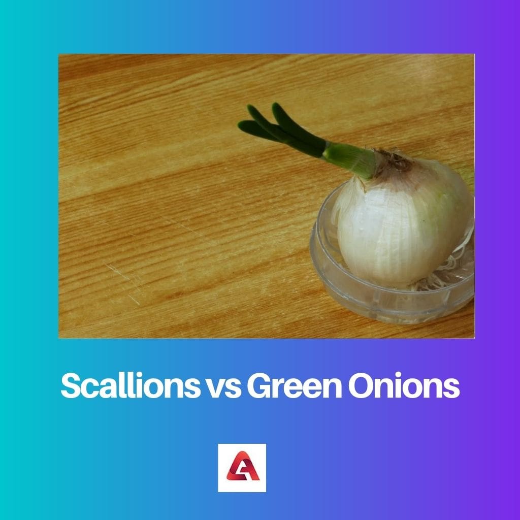 Scallions vs Green Onions