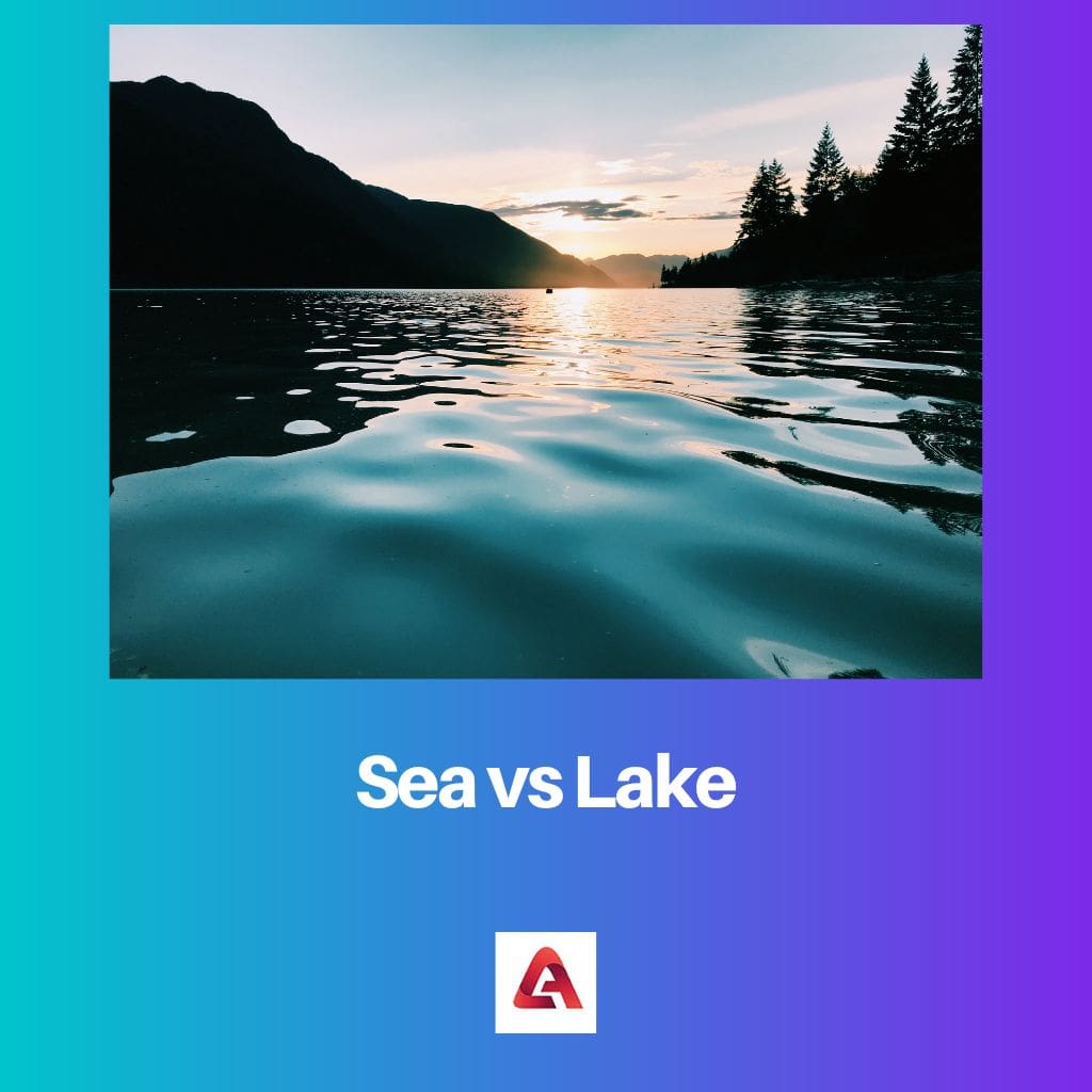 Sea vs Lake