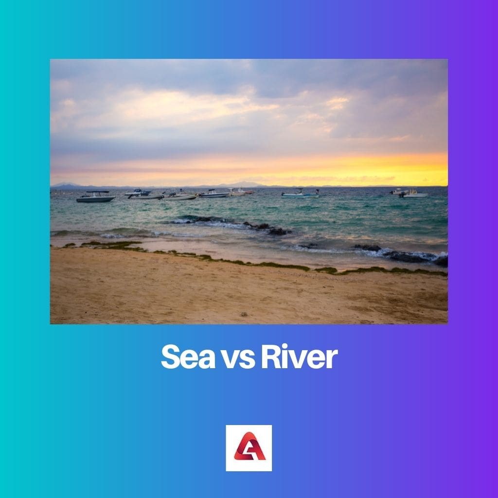 Sea vs River