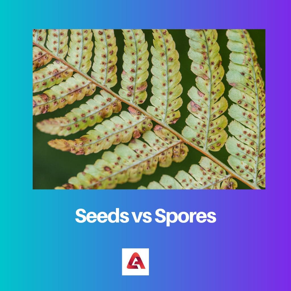 Seeds vs Spores
