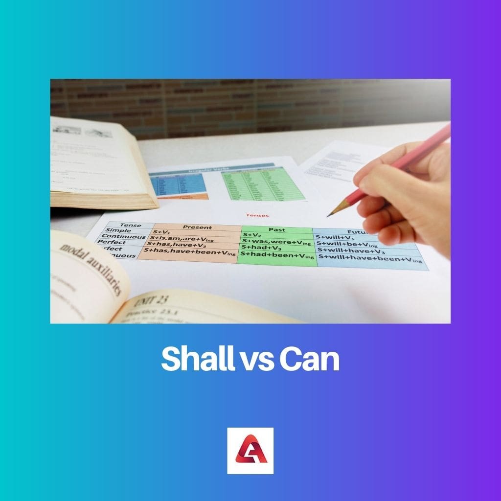 Shall vs Can