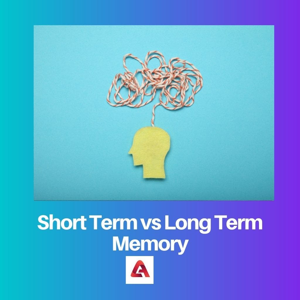 Short Term vs Long Term Memory