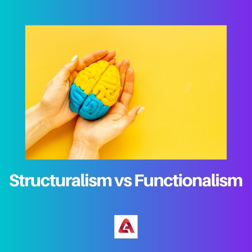 Structuralism vs Functionalism