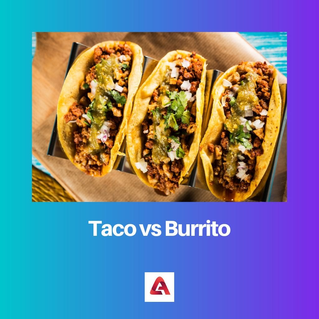Taco vs Burrito