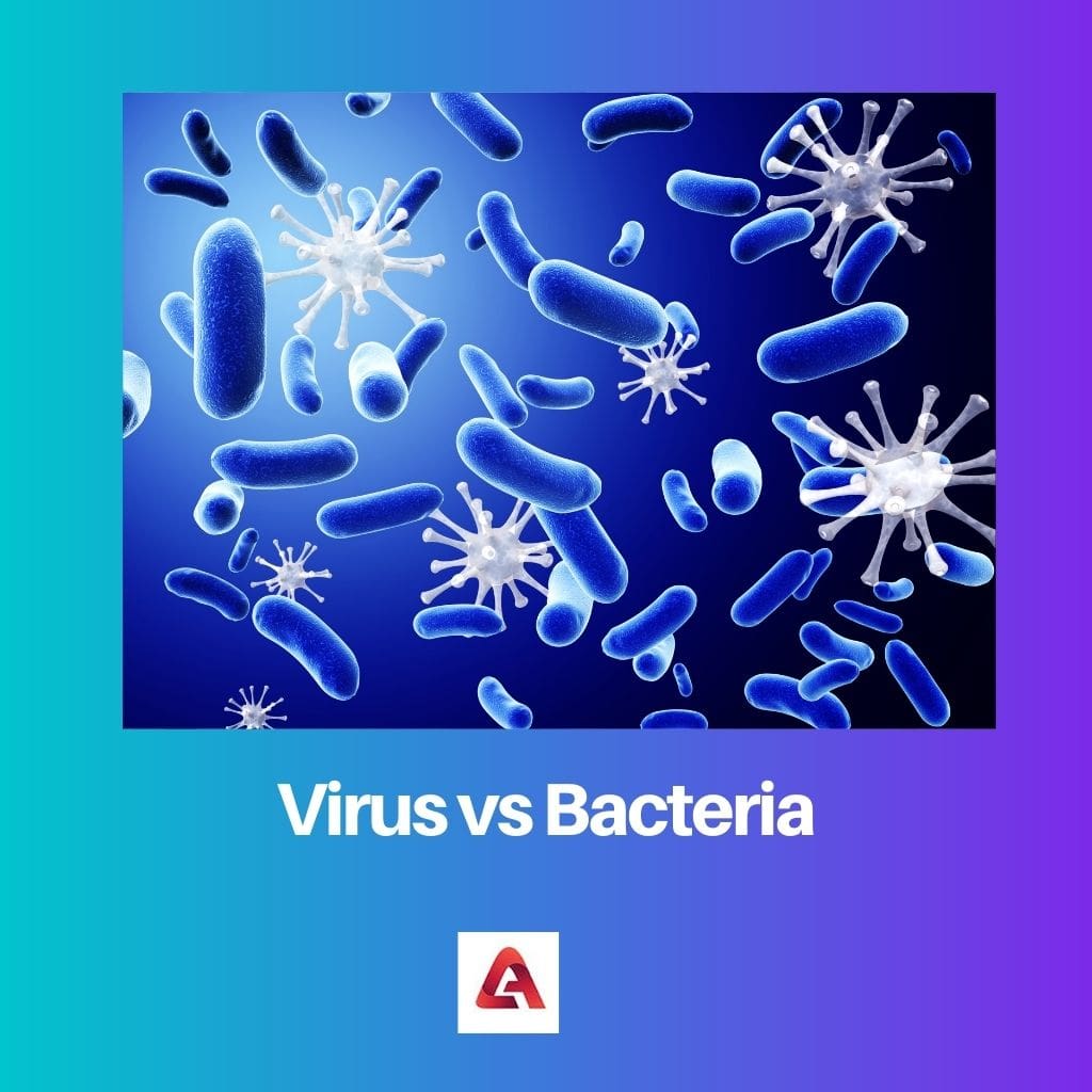 Virus vs Bacteria