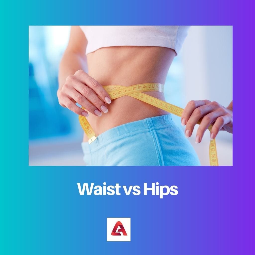 Waist vs Hips