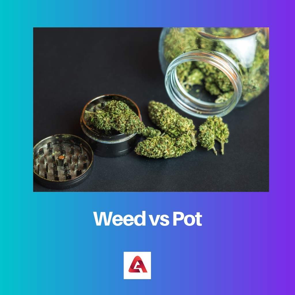 Weed vs Pot