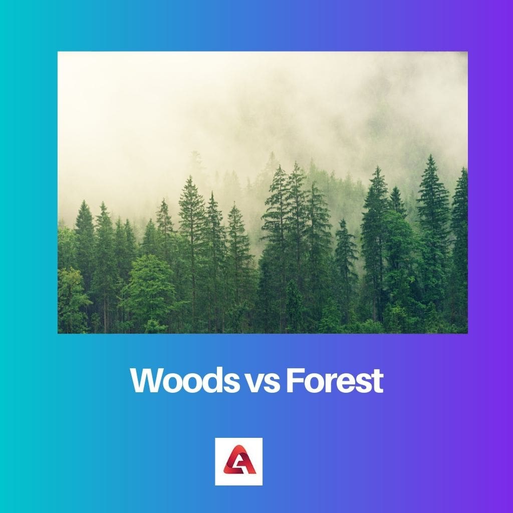 Woods vs Forest 2