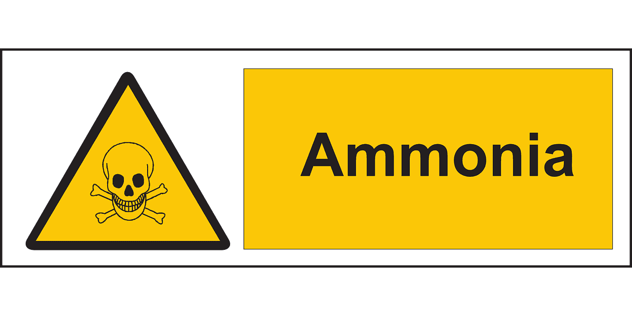 ammonia 1